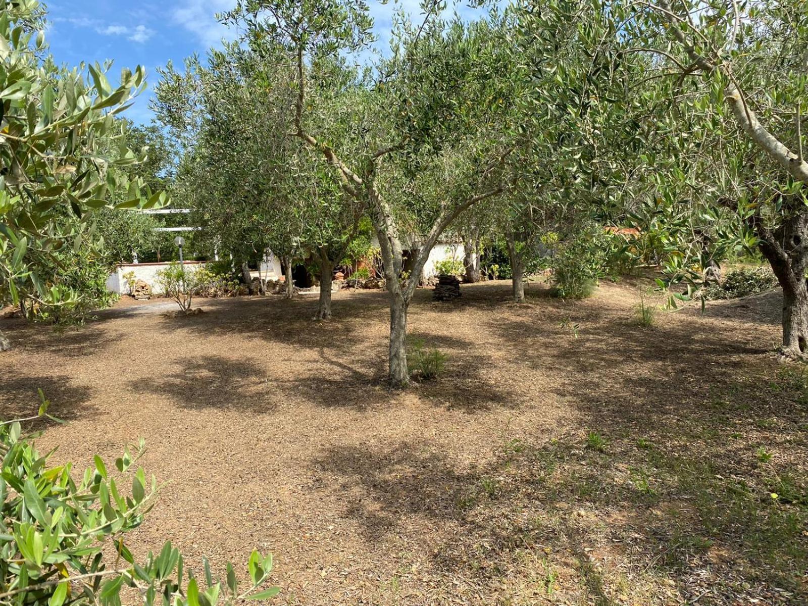 Domo Angheleda - Alghero Casa Indipendente Vicino Al Mare ภายนอก รูปภาพ